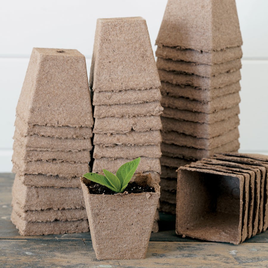 3 inch Square Jiffy Pots (pack of 50)