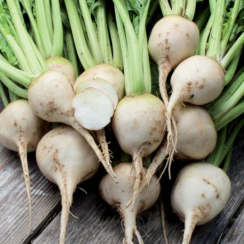 Albino Beet - 100 seeds
