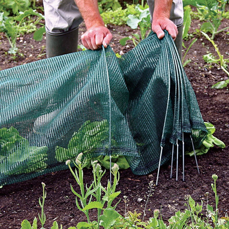Easy Standard Net Tunnel
