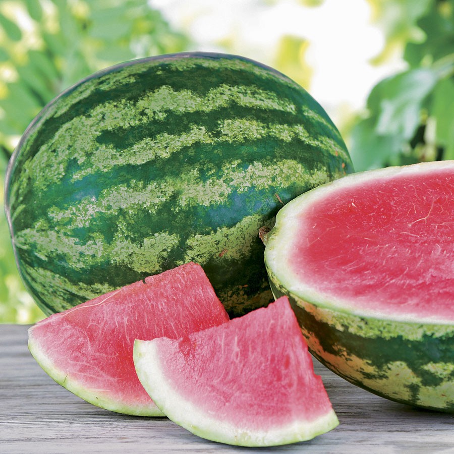 Hybrid Watermelon Seeds - 100 seeds