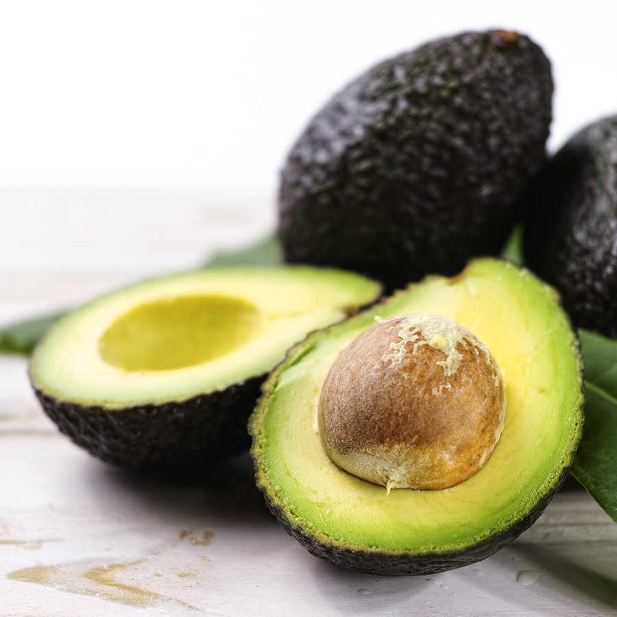Persea Avocado Hass - 20 seeds
