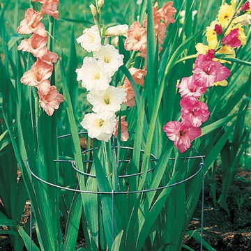 Plant Support Hoops