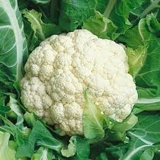 Snowball Cauliflower - 100 seeds