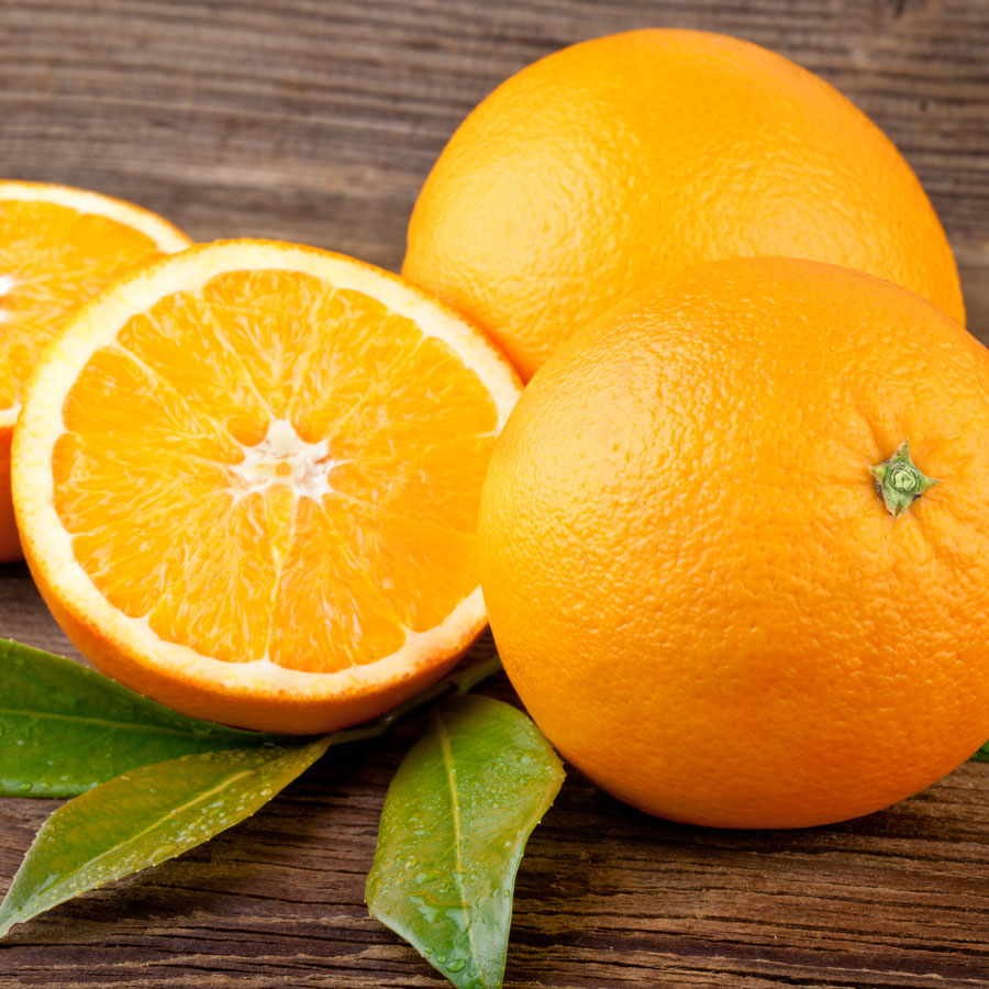 Trovita Orange Tree - 100 seeds