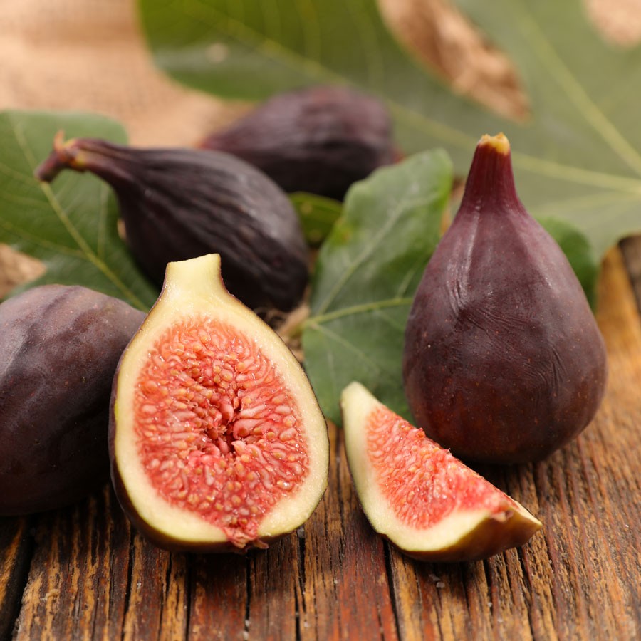 Violette de Bordeaux Fig - 1 Quart